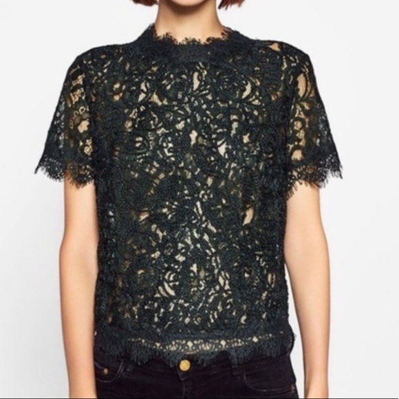 Zara trafaluc embroidered lace shirt top tunic new